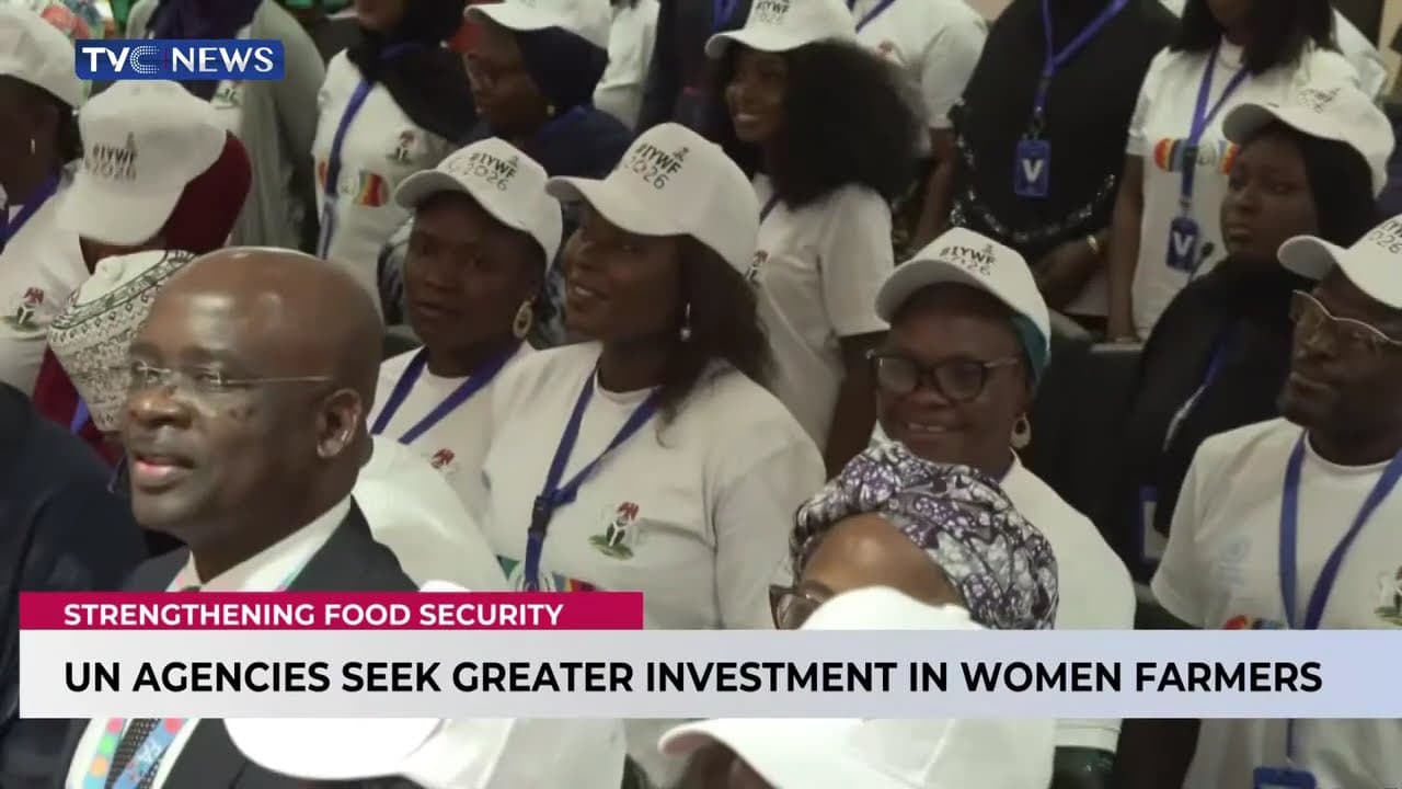 Women Farmers Day: FAO Says Gender Gap In Agriculture Costs Nigeria $2.3bn Annually