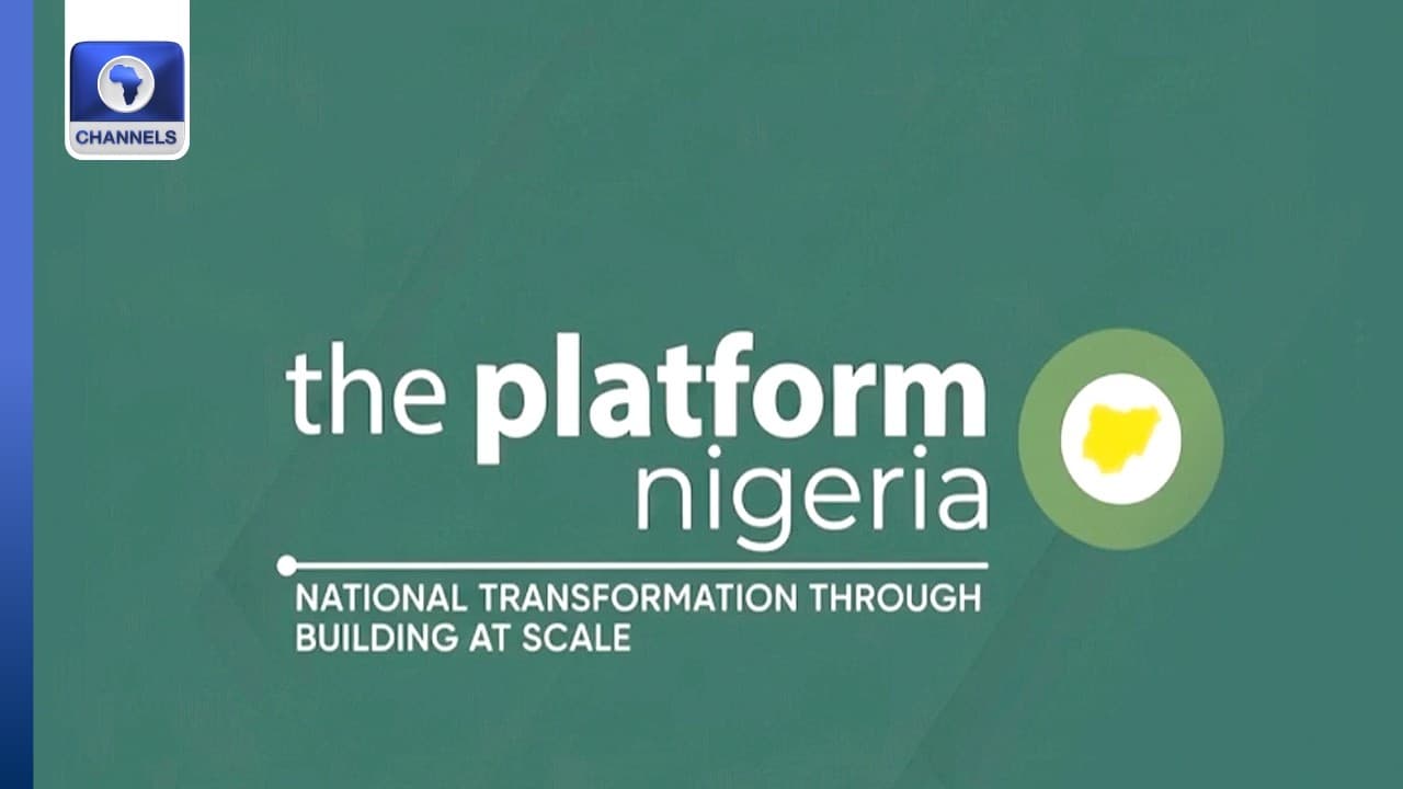 The Platform Nigeria: Experts Speak On Dream And Skills Expansion Strategies