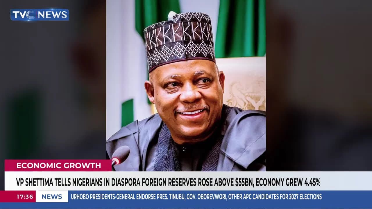 VP Shettima Tells Nigerians In Diaspora Foreign Reserves Rose Above $55BN, Economy Grew 4.45%