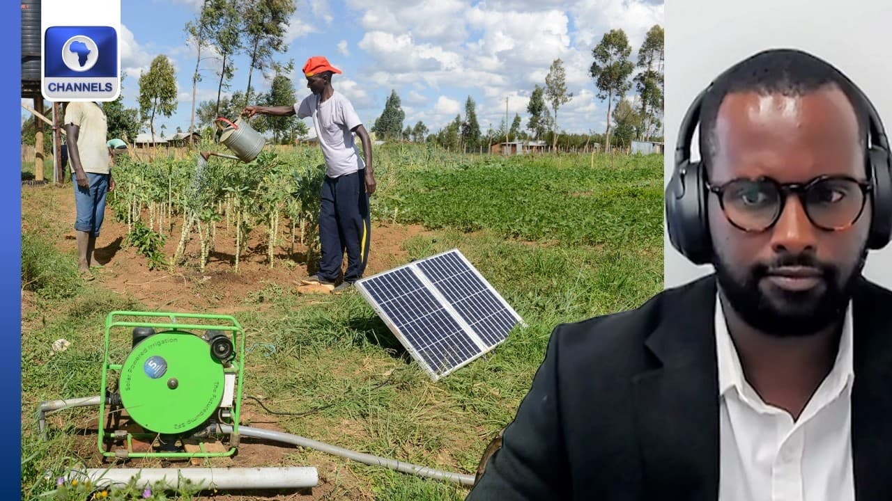 Africa's Energy Gap: 70% Work In Farming, Only 2% Get Electricity