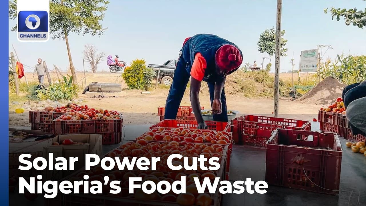 Adonai Foods Deploys Off Grid Storage To Cut Post Harvest Losses