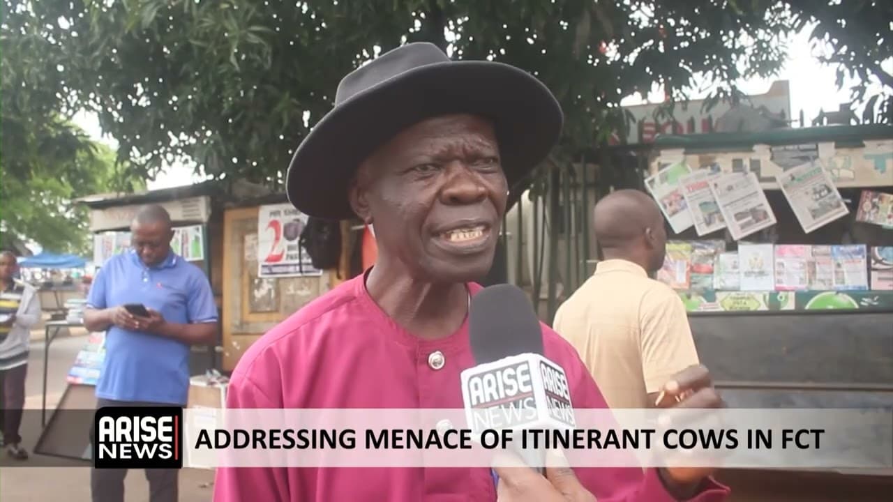 ADDRESSING MENACE OF ITINERANT COWS IN FCT