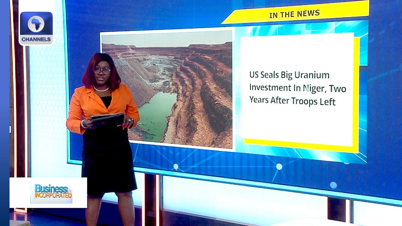 US-Niger Uranium Deal, Zimbabwe Targets China For Blueberry Sale + More | Business Incorporated