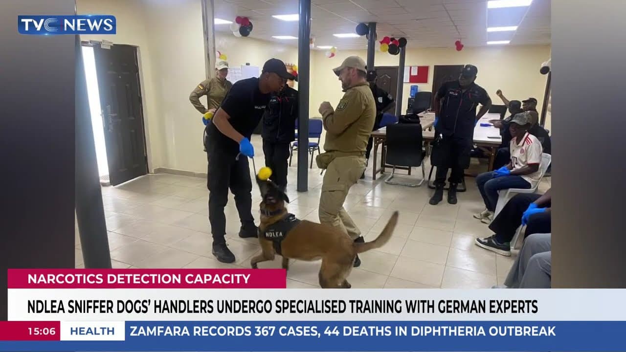 NDLEA Sniffer Dogs' Handlers Undergo Specialised Training With German Experts