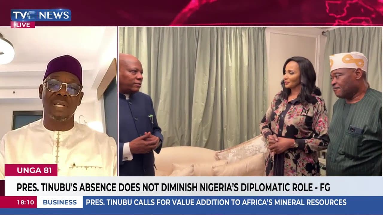 Nigeria Advocates Global Institutional Reform, Permanent African Seat at  UNGA 81