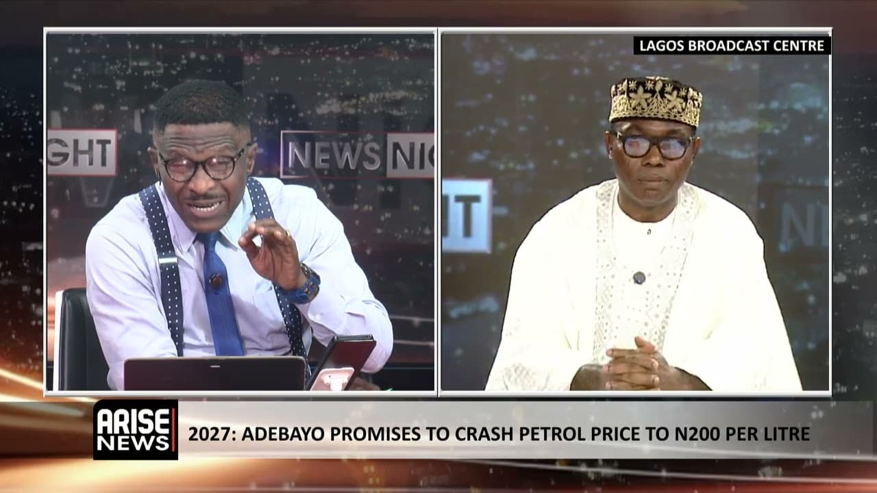 Subsidy Regime Was Plagued By Corruption And Poor Price Control - Adebayo