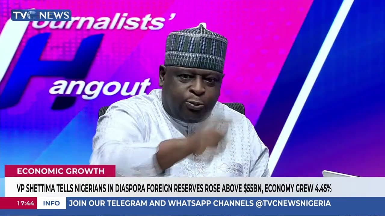 Nobody Should Talk About Removing Electricity Subsidy Now - Kolade-Otitoju