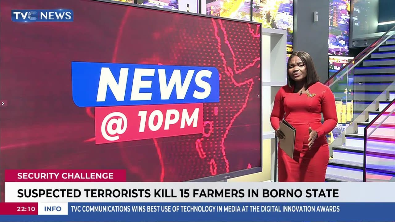 Suspected Terrorists Kill 15 Farmers In Borno State