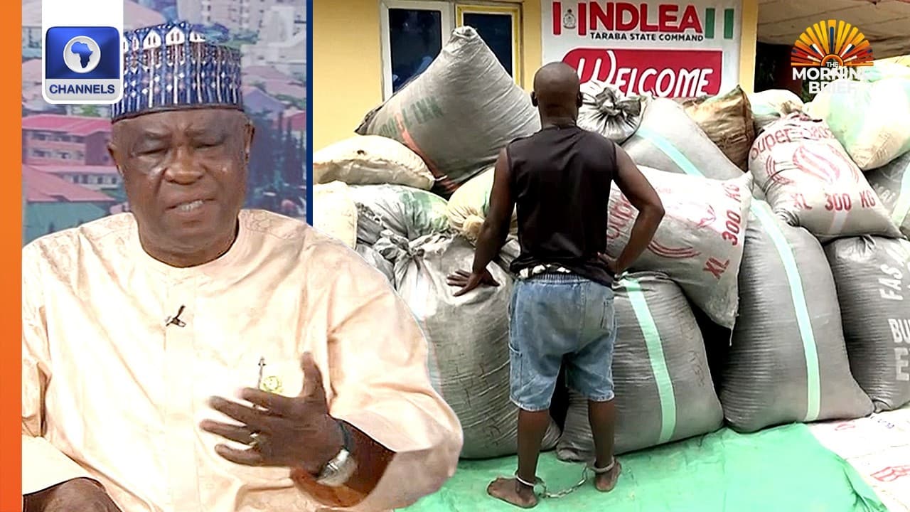 Why NDLEA Prosecutes Drug Traffickers, Not Users - Ex-Deputy CG | The Morning Brief