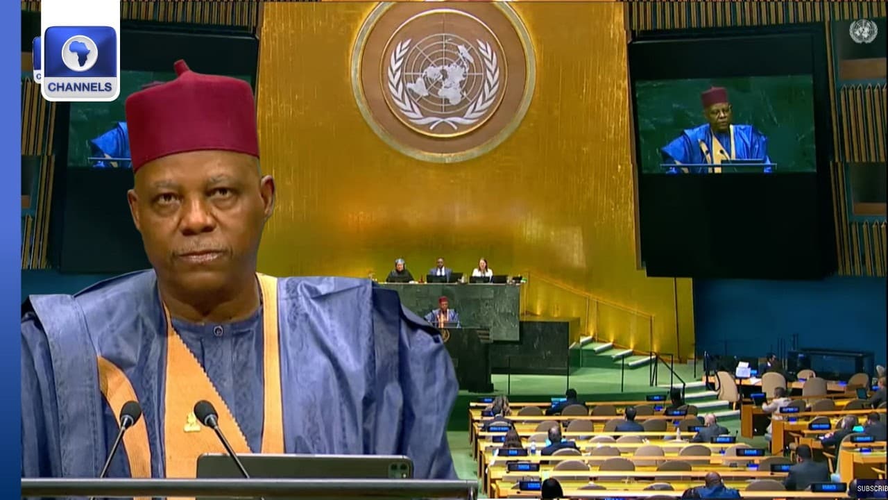 ‘UN Reforms Must Begin With Reconstitution Of Security Council,’ Nigeria Calls For African Represent
