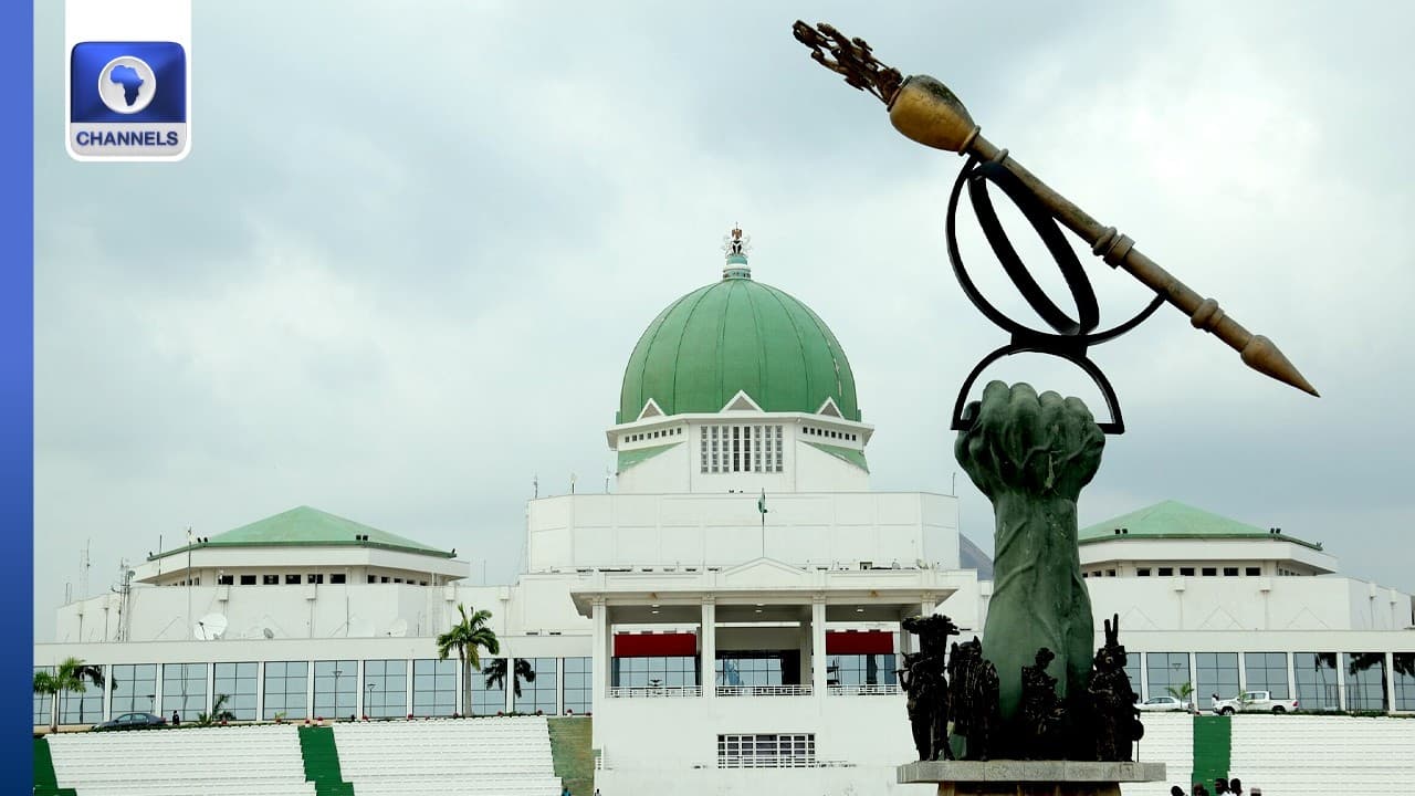 NASS Suspends Legislative Relations With S/Africa + More | The Gavel