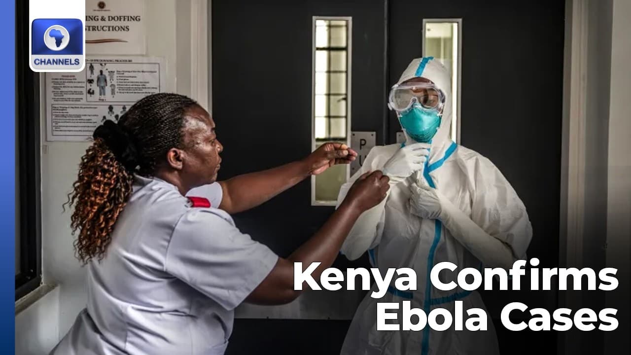 Kenya Confirms Ebola Cases, Africa Energy Week Review + More | Network Africa