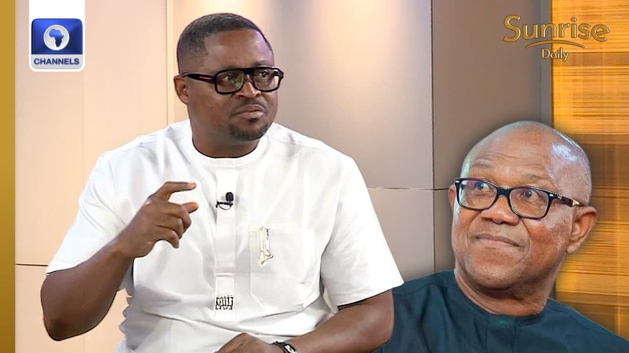 Verifying Peter Obi's Academic Qualification Not Labour Party's Duty - Official | Sunrise Daily