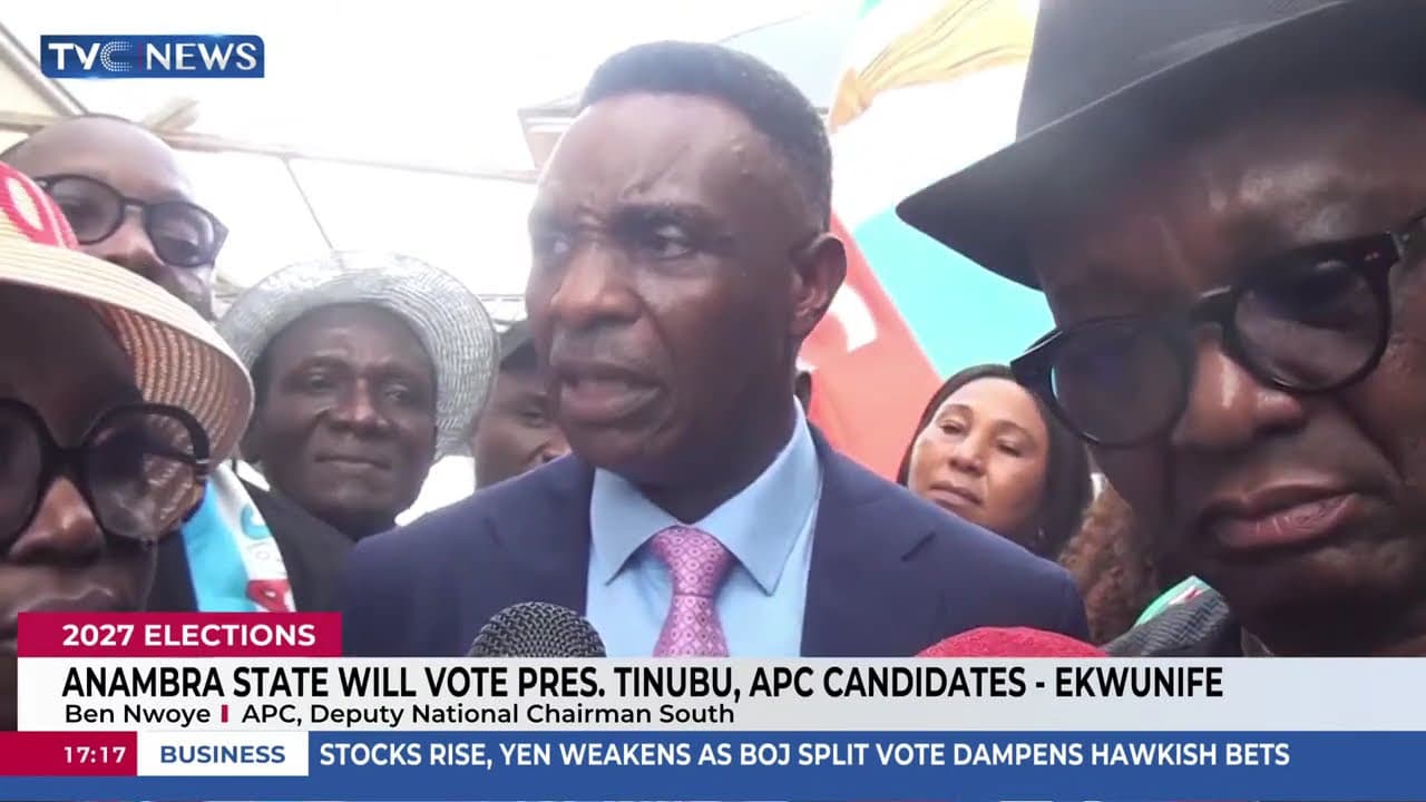 Anambra Will Vote for President Tinubu, APC Candidates - Party Chieftain Ekwunife
