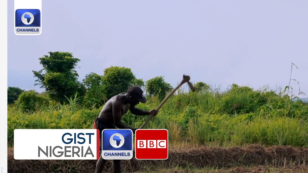 How AI Can Boost Nigeria’s Agriculture And Build Sustainable Food Systems