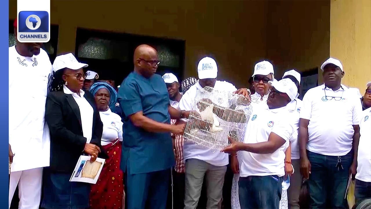 Delta Govt Marks 2026 International Day Of Peace