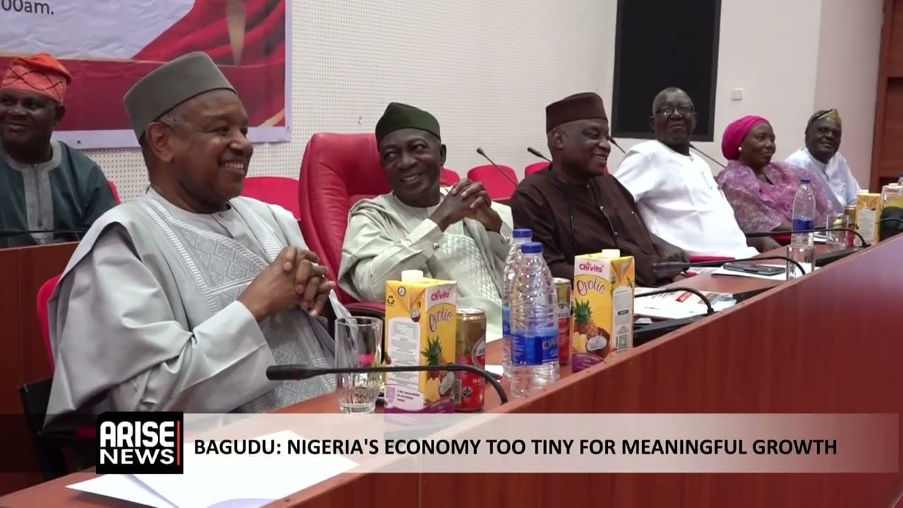 BAGUDU: NIGERIA’S ECONOMY TOO TINY FOR MEANINGFUL GROWTH