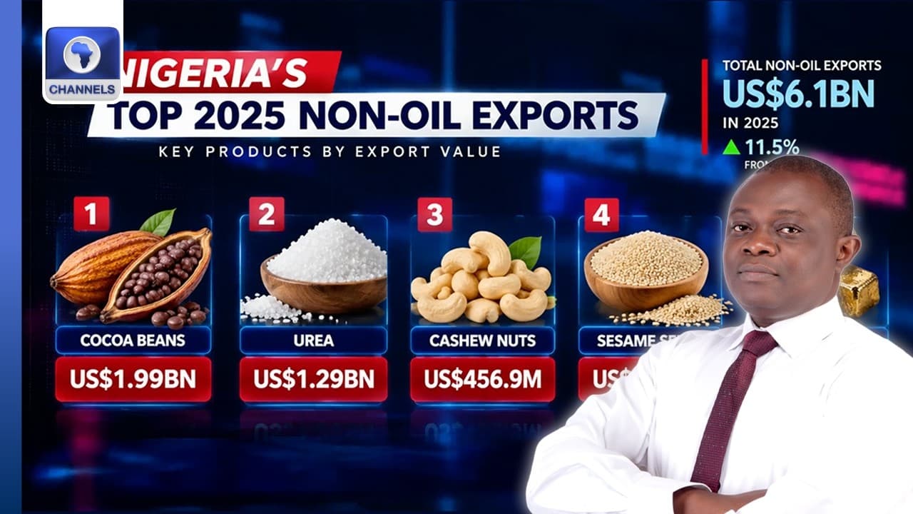 Policies For Raw Material Export Is Not Well Formulated - Expert | Business Morning