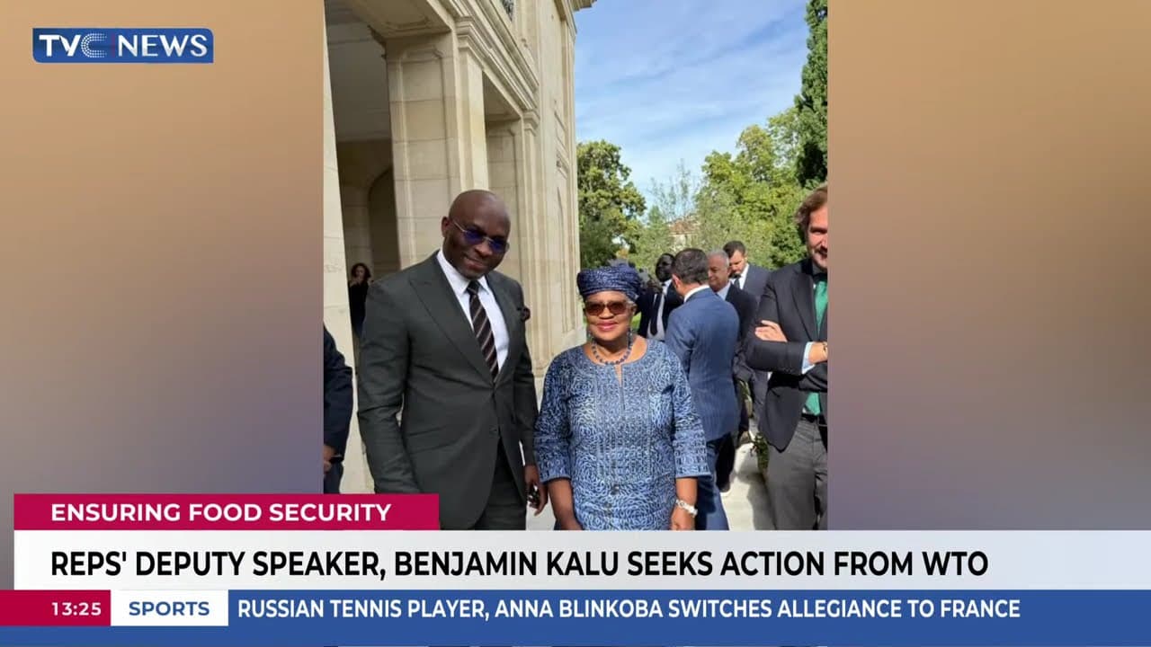 Food Security: Reps' Deputy Speaker, Benjamin Kalu Seeks Action From WTO
