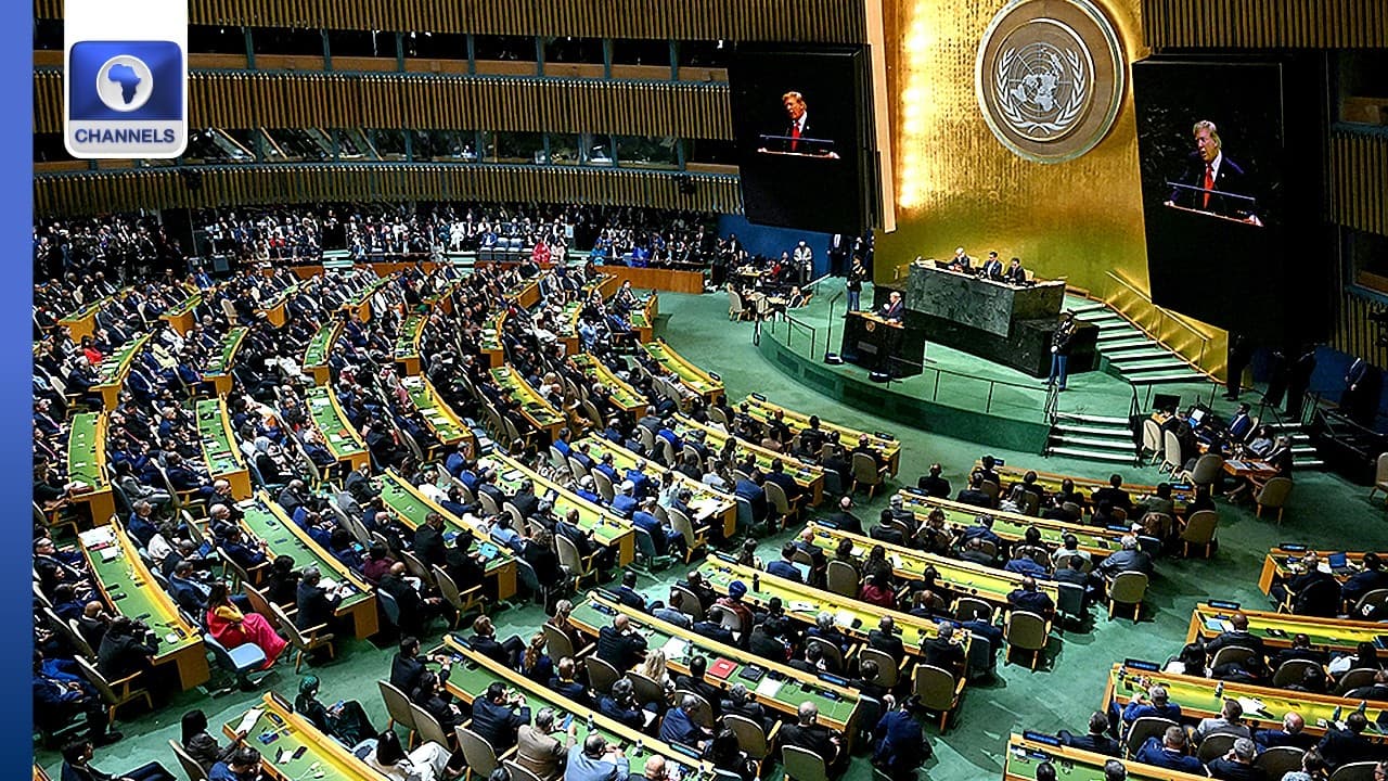 81st UNGA: African Countries Demand Permanent Seat On UNSC + More | Network Africa