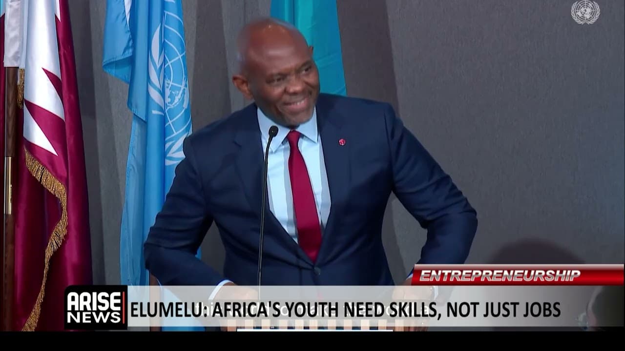 Elumelu: Africa's Youth Need Skills, Not Just Jobs