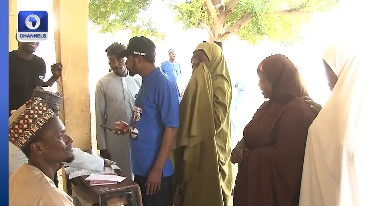 Yobe Councils Election