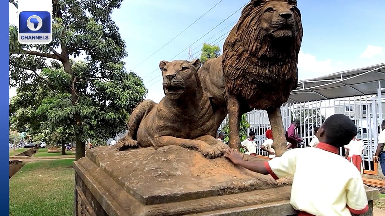 How Old Tradition Helps Protect Nature Today + More | Eco Africa