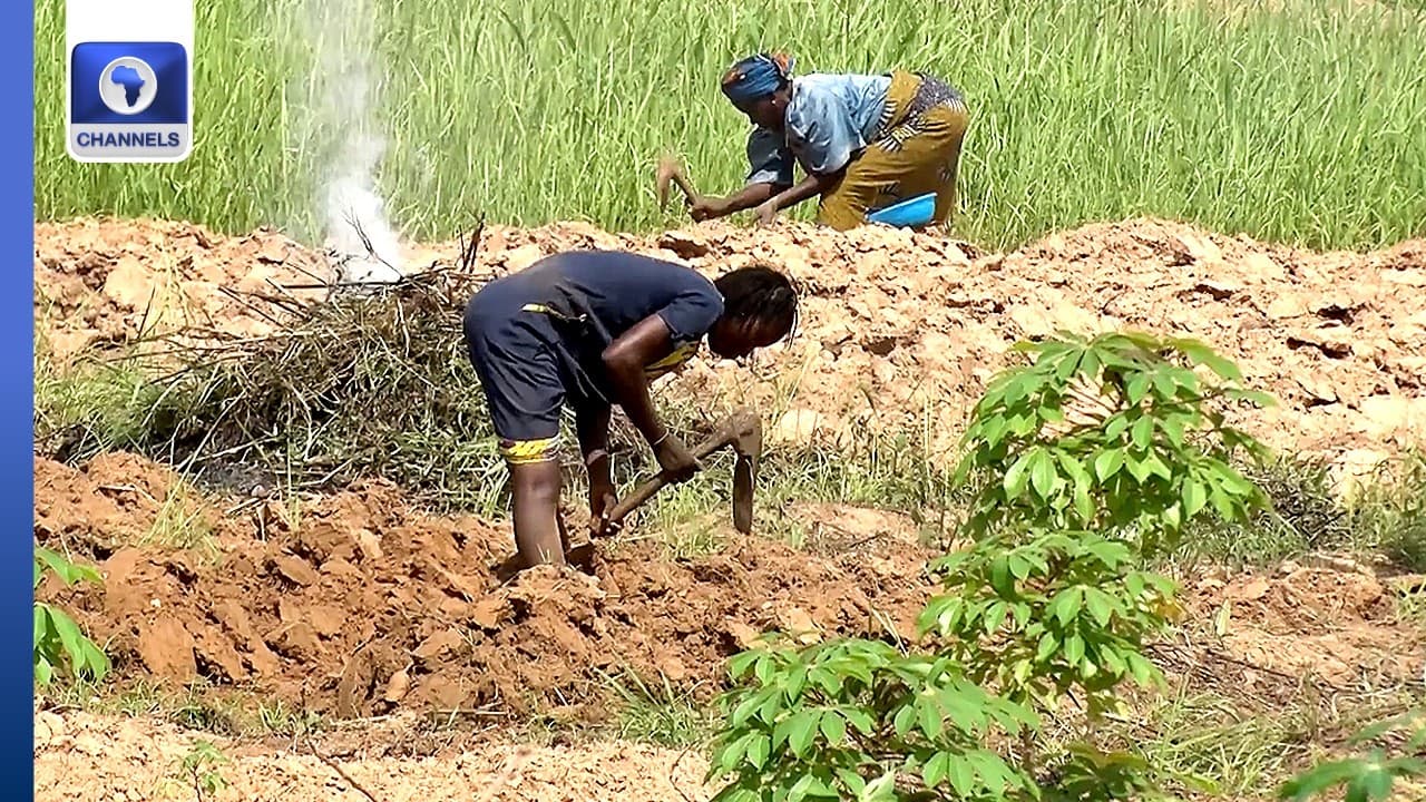 SEDC, Enugu Govt Flag Off Agro-Development Project To Boost Food Production
