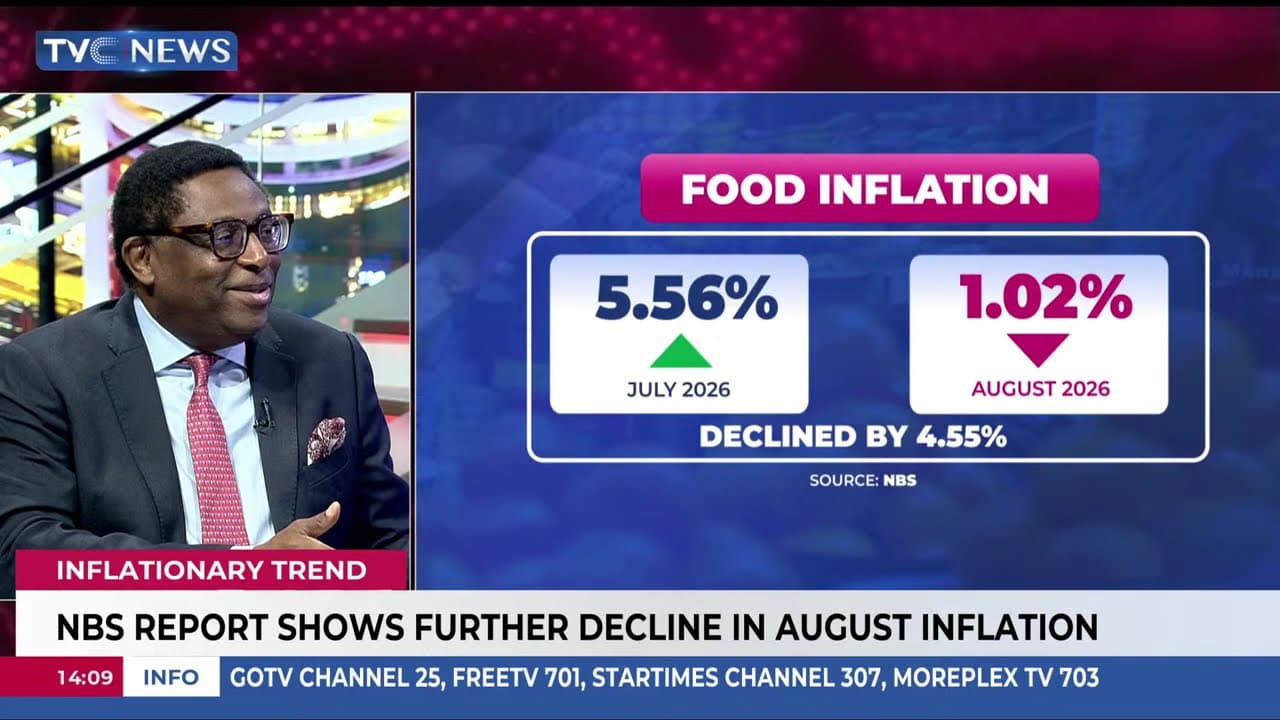 Why Nigeria's Headline Inflation Declined In August —Expert,  Adetilewa Adebajo