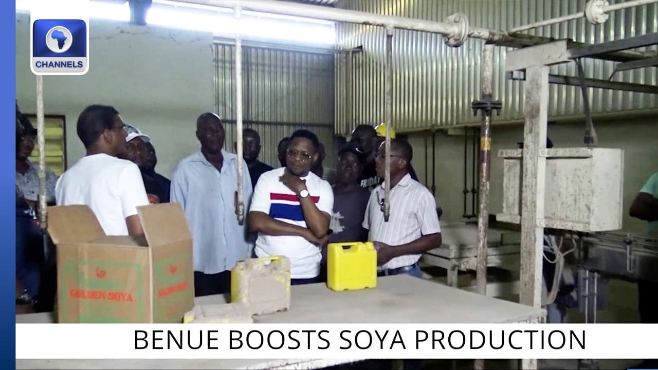 Benue Govt Targets Yuletide To Reintroduce Cooking Oil For Nigerian Market