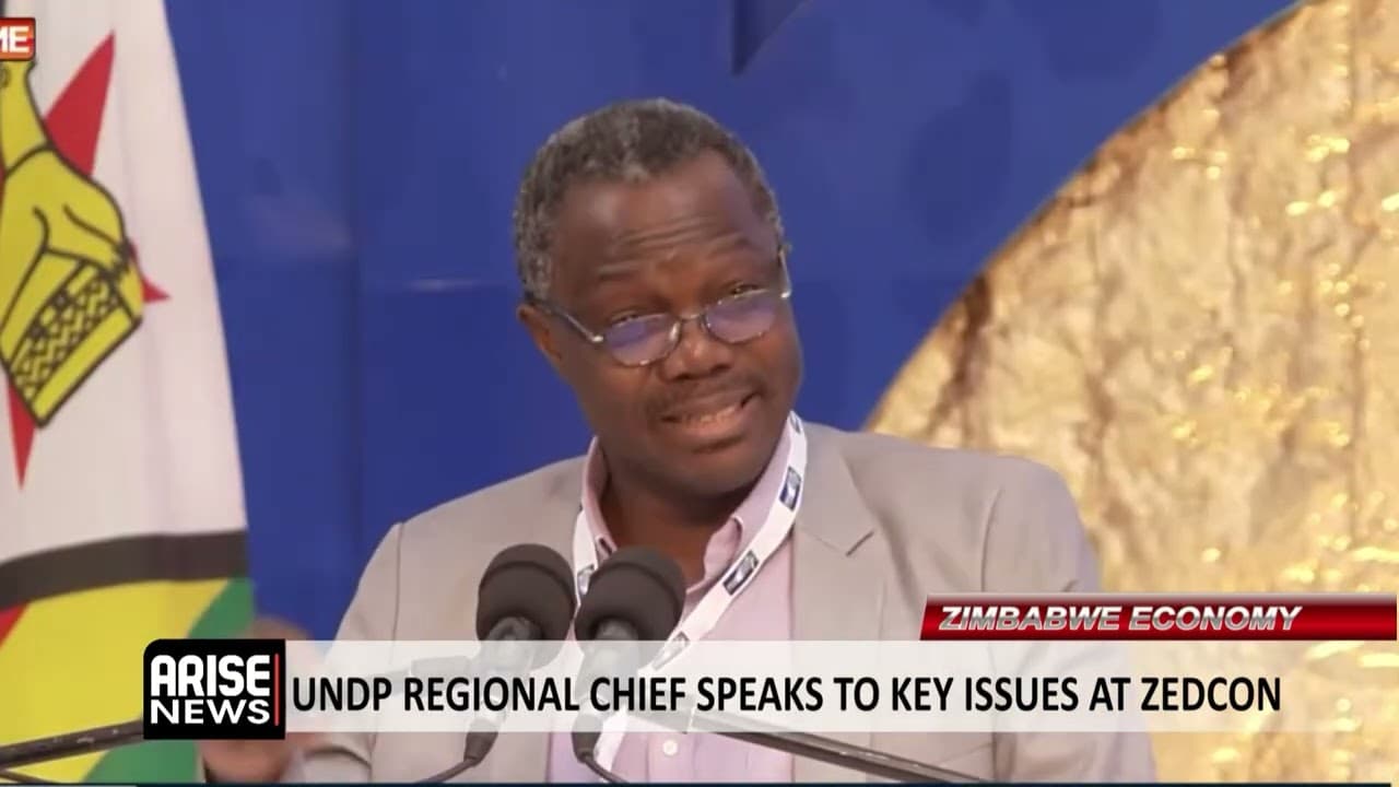 ZIMBABWE ECONOMY: UNDP REGIONAL CHIEF SPEAKS TO KEY ISSUES AT ZEDCON