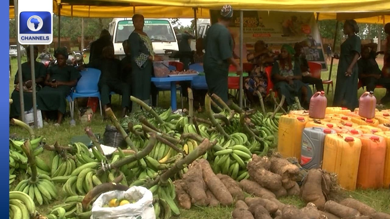 Afe Babalola Urges Farmers To Embrace AI