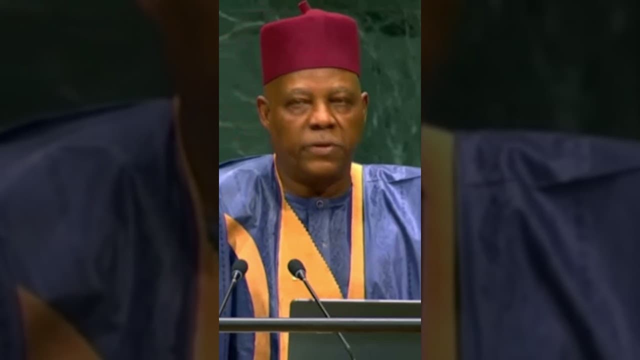 UNGA: Nigeria Demands At Least Two Permanent Seats For Africa - Shettima