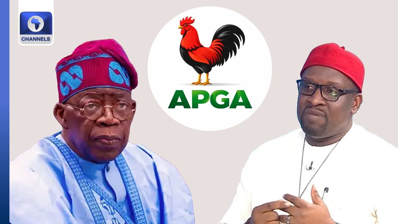2027: Why We Decided To Endorse Tinubu For Presidency – APGA National Chair