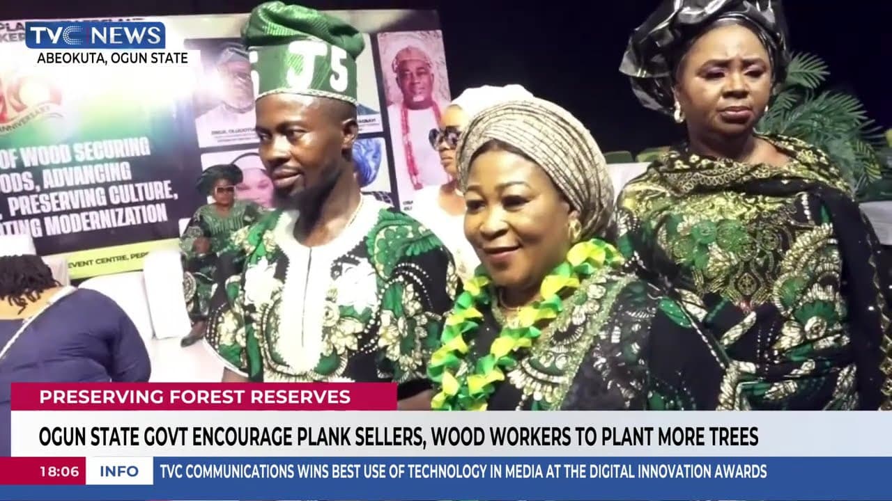 Ogun State Govt Encourage Plank Sellers, Wood Workers To Plant More Trees