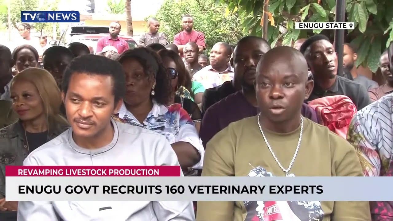 Enugu Employs 160 Veterinary, Paraveterinary Workers to Revive Livestock Sector