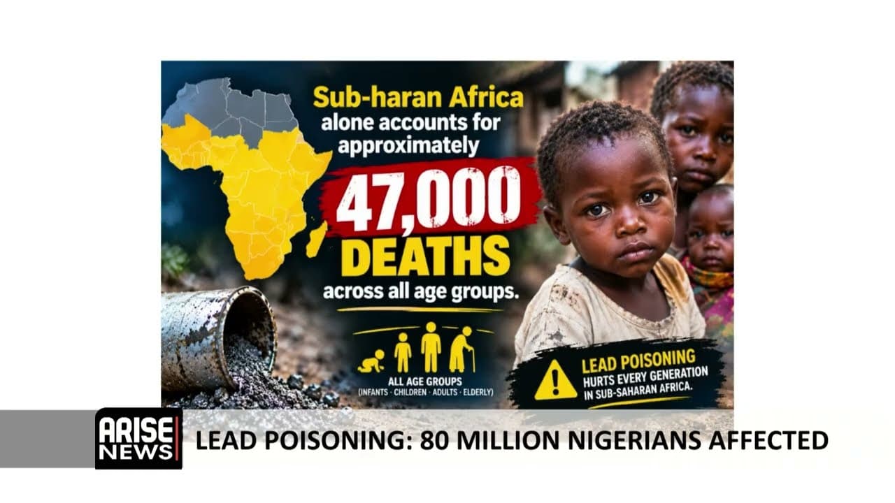 LEAD POISONING: 80 MILLION NIGERIANS AFFECTED