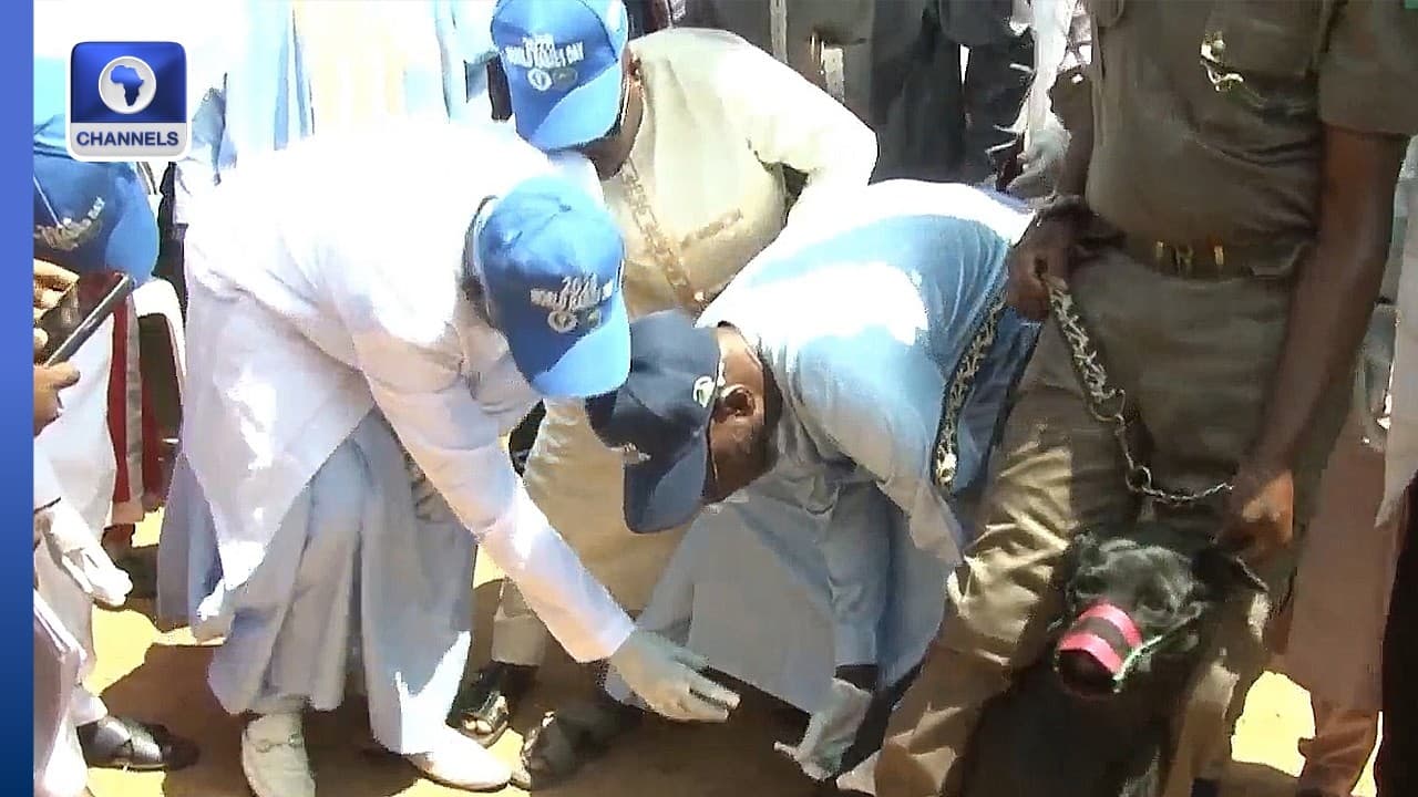 World Rabies Day: Yobe Flags-Off Free State-Wide Vaccination