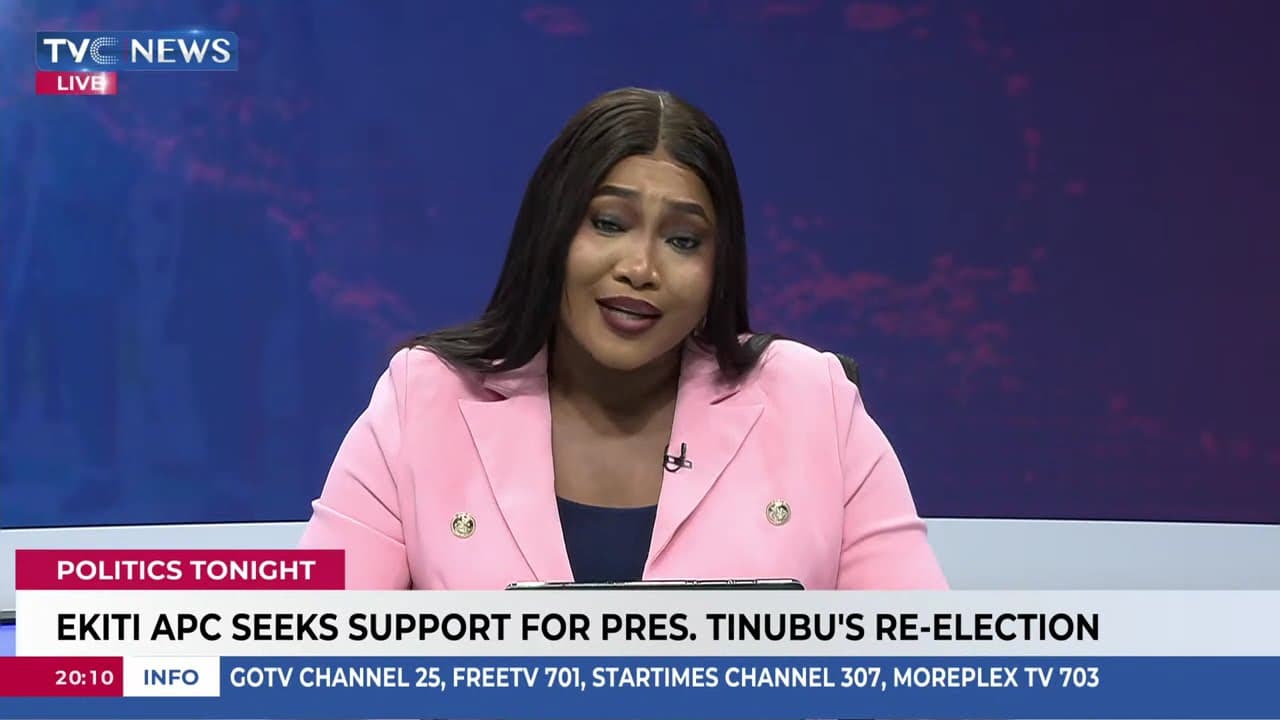 Stop Blaming Tinubu For State Affairs, Hold Governors Accountable - Ekiti Lawmaker